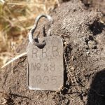 Rockingham Roads Board 1905 Dog Tag