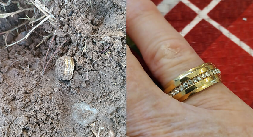 Metal Detecting at the Park: Today’s Awesome Finds